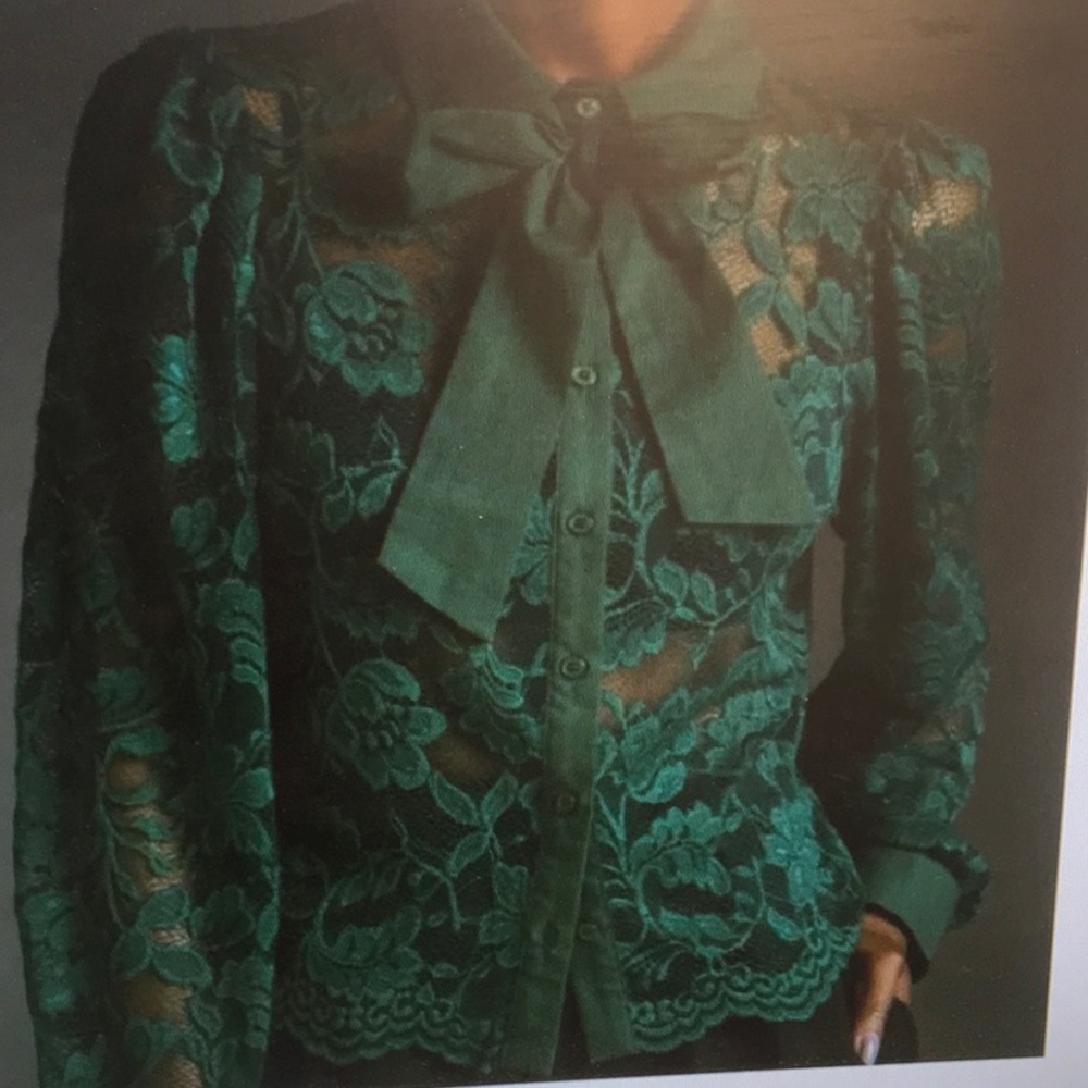 ANTHROPOLOGIE/“COASTAL VARSITY LACE”FOREST GREEN SHEER LACE BLOUSE/NEW